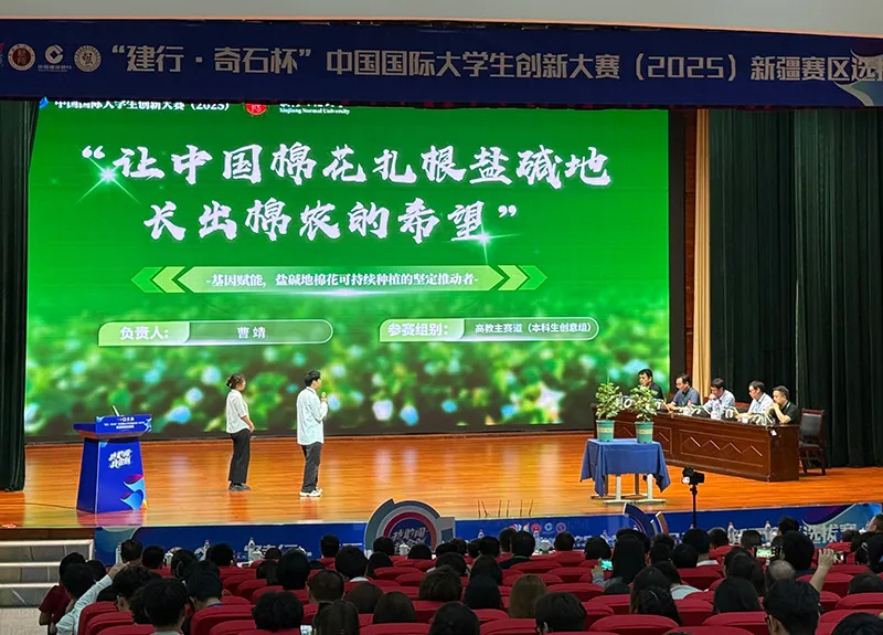 中国国际大学生创新大赛（2025）新疆赛区选拔赛落幕