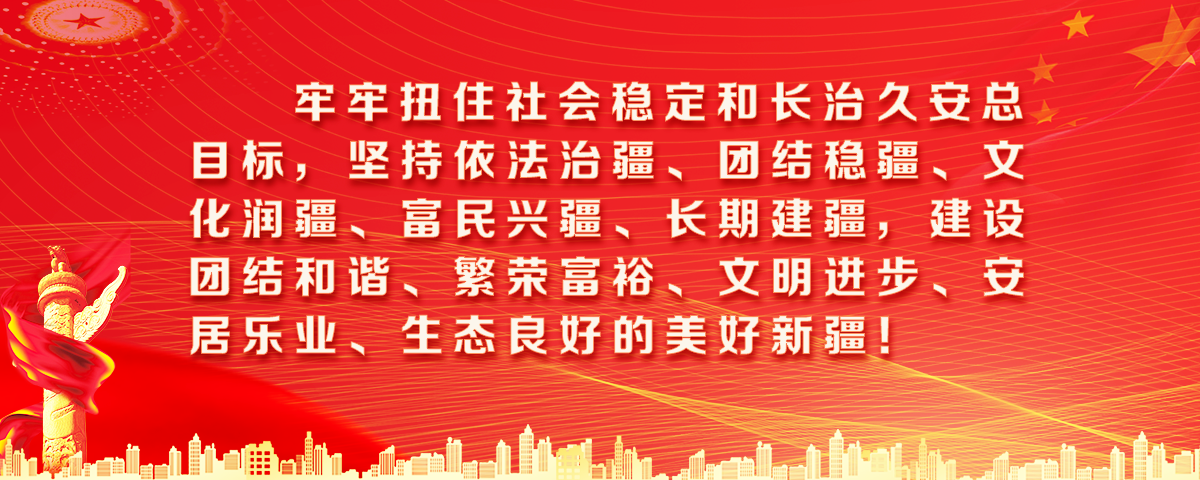 牢牢扭住社会稳定和长治久安总目标